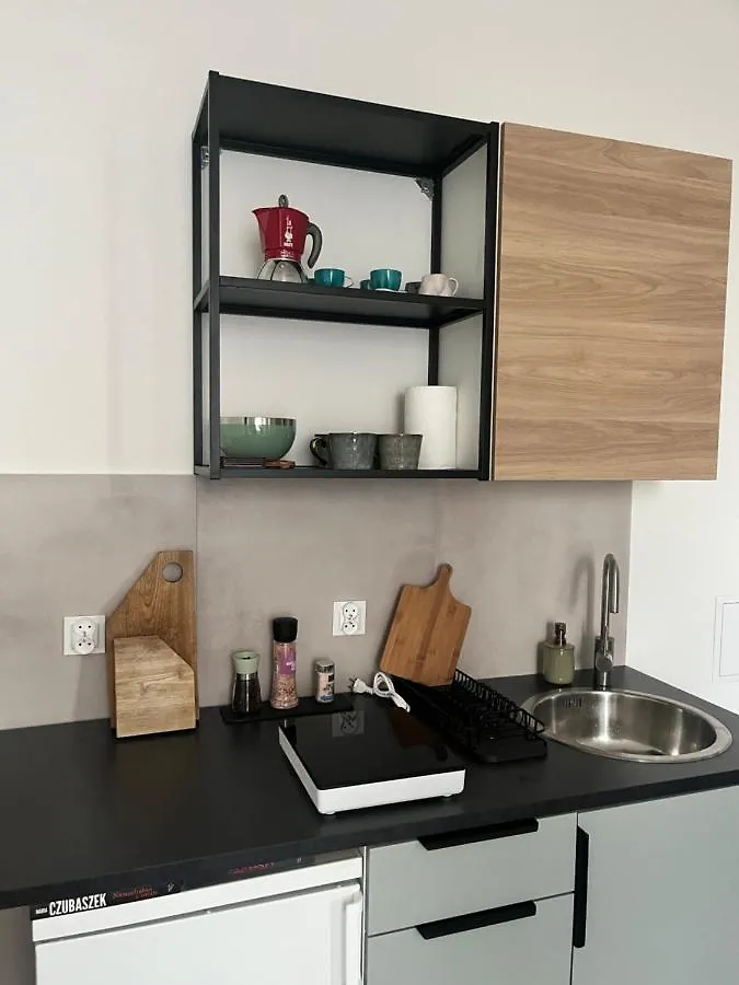 Apartament Wierzbiecice 44 Apartment Poznan